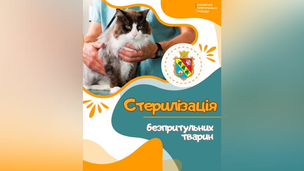В Коблівській громаді успішно реалізується проєкт зі стерилізації тварин