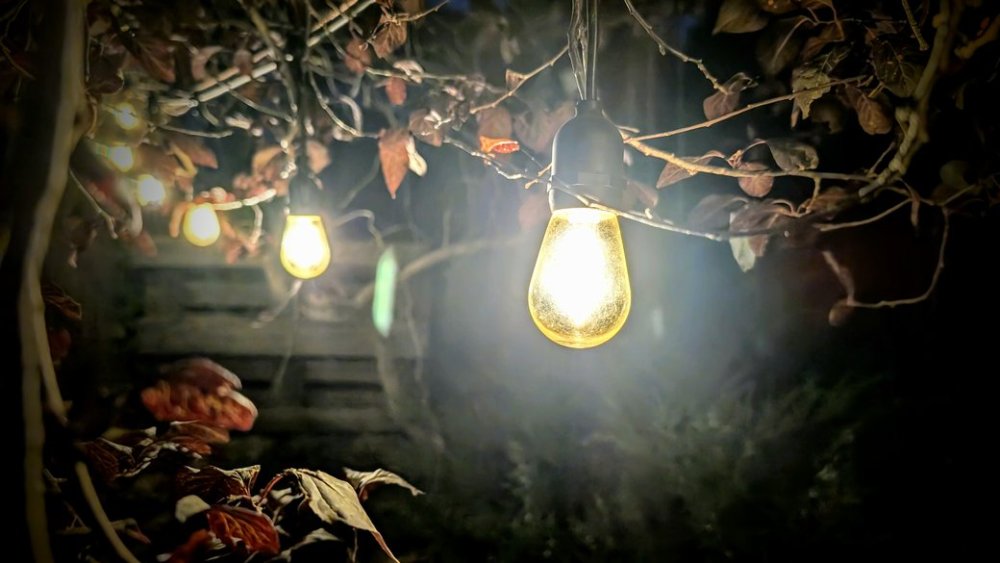 На Миколаївщині готуються до «зимових» графіків обмеження електропостачання