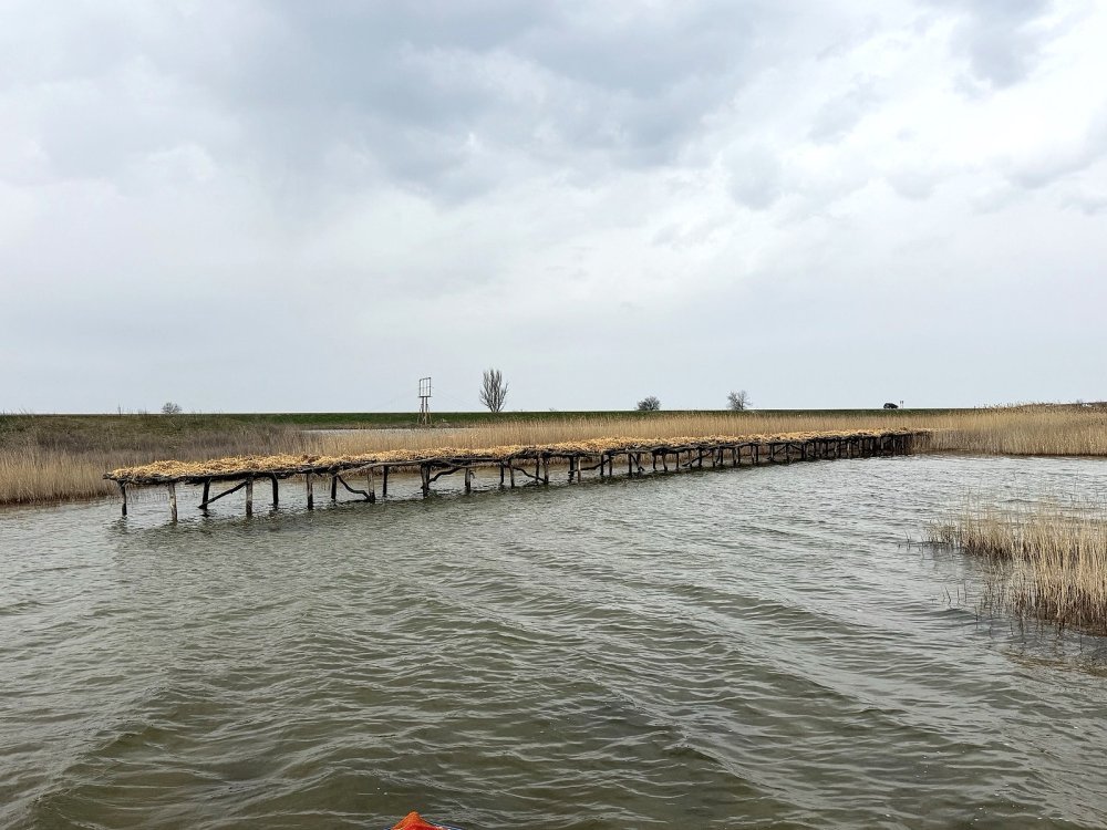 ДТЕК ВДЕ вже вдруге презентував Атлас «Острови птахів» (фото)