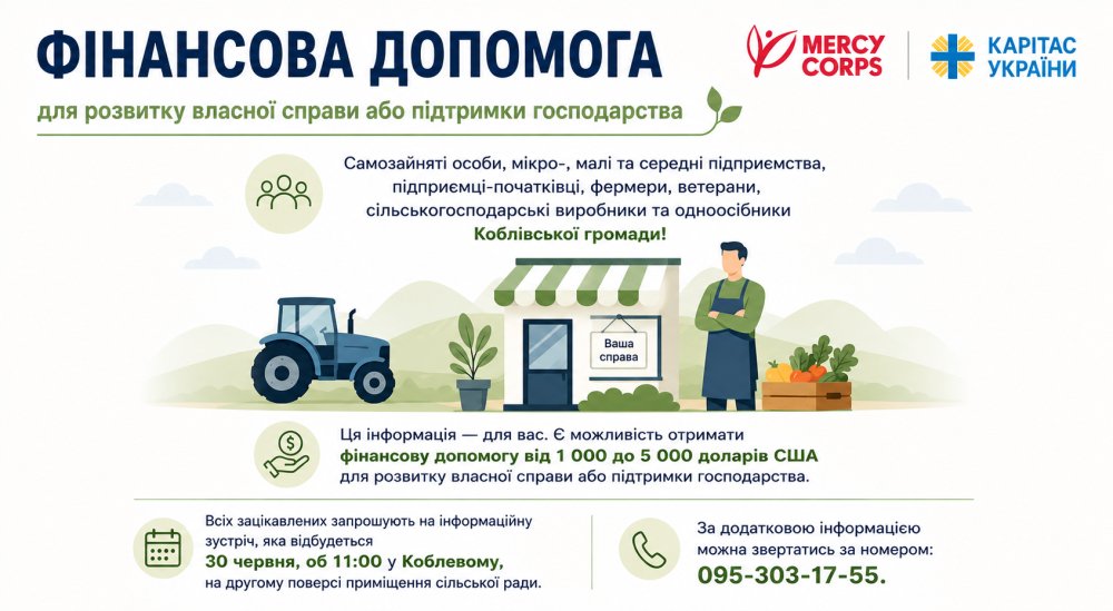 Фінансова допомога для розвитку власної справи або підтримки господарства